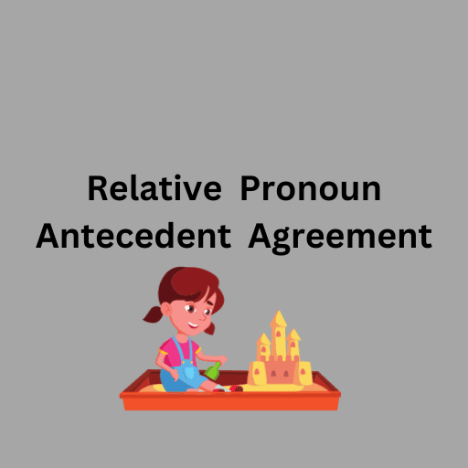 Relative  Pronoun  Antecedent  Agreement